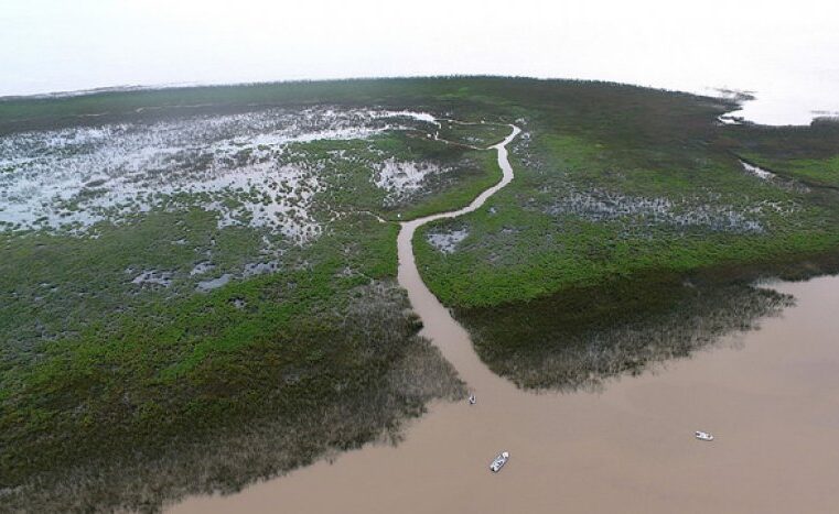 Las nuevas islas de San Isidro fueron declaradas reserva natural