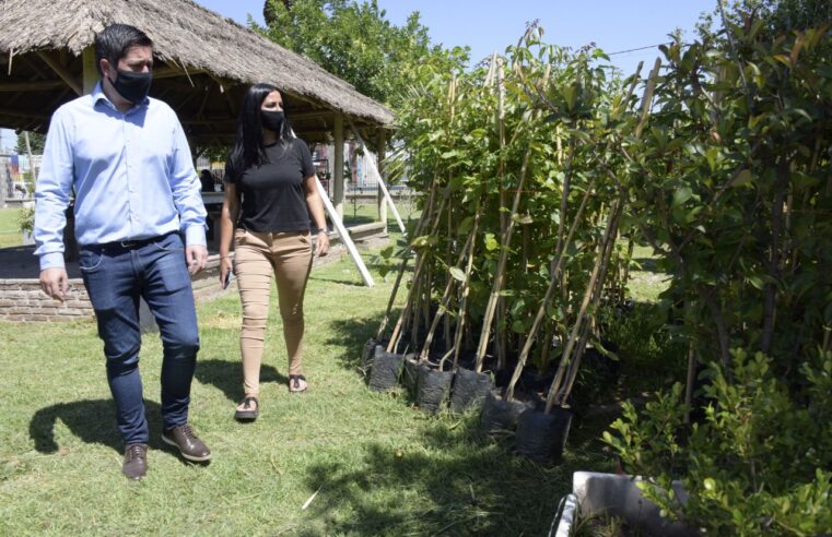 “Llegamos a los primeros mil ejemplares plantados”