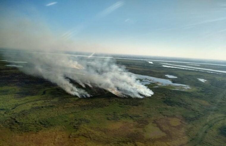 Declaran la emergencia ambiental por los incendios en el Delta del Paraná