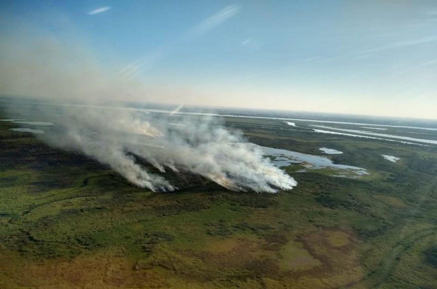 Declaran la emergencia ambiental por los incendios en el Delta del Paraná