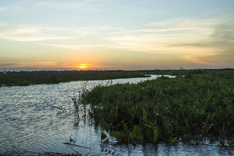 Apareció una nueva Isla en San Isidro