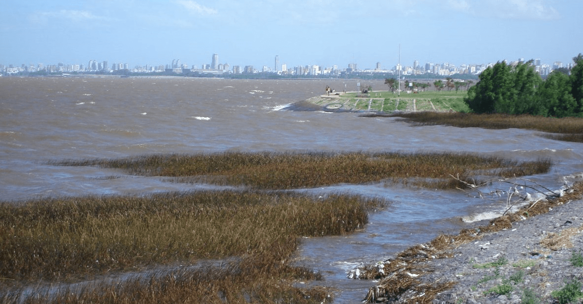 La Cuenca del Plata registra niveles cercanos al mínimo histórico