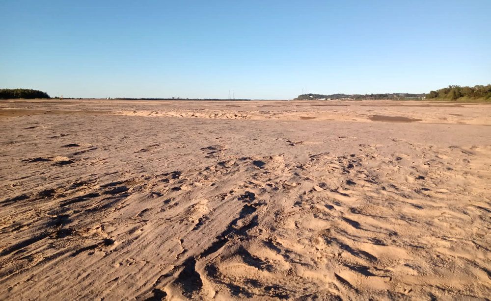 Advierten que la bajante del Paraná “es un holocausto ambiental”