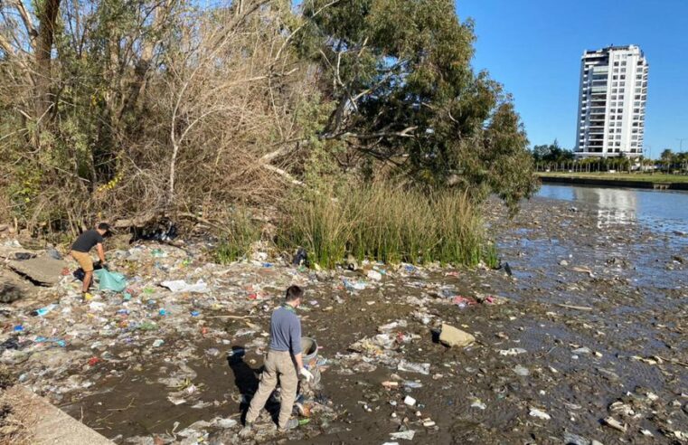 Con impulso de vecinos crearán la primera reserva natural pública de Tigre