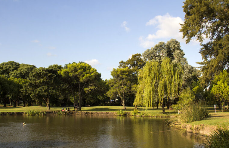 Cómo será el nuevo parque público que diseñó el Estudio Thays en Villa Adelina