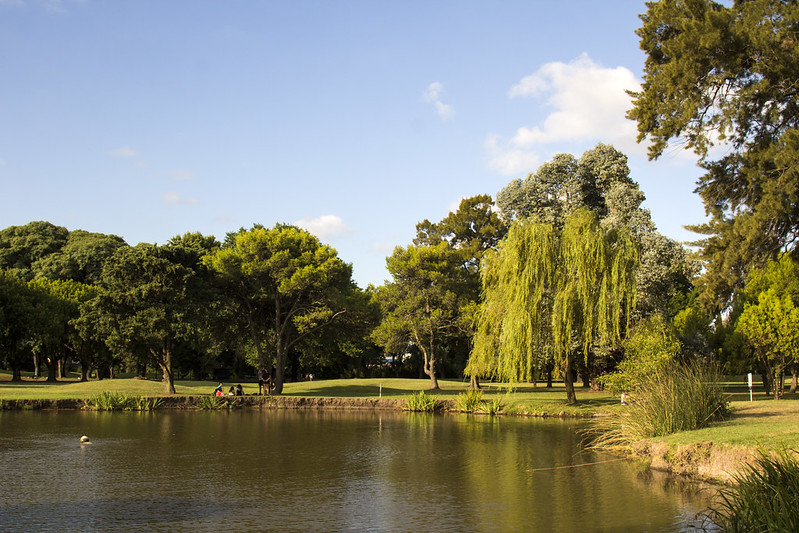 Cómo será el nuevo parque público que diseñó el Estudio Thays en Villa Adelina