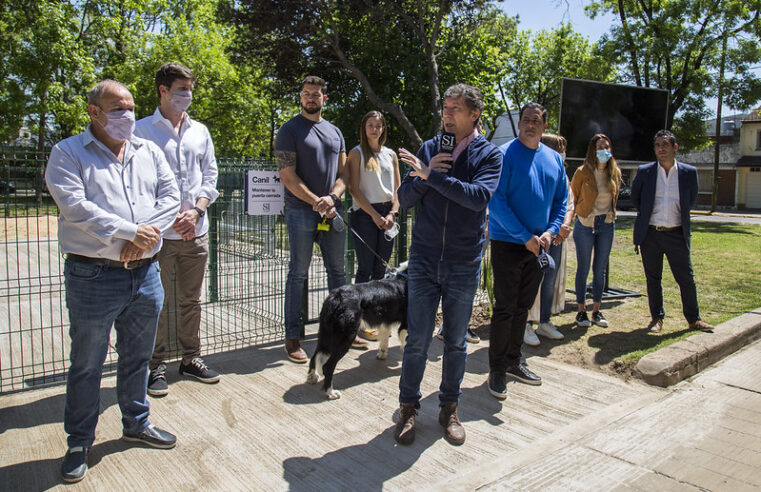 San Isidro lanzó el primer portal municipal de adopción de mascotas del país