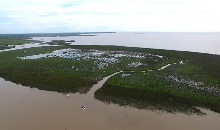 Alumnos de San Isidro bautizaron las nuevas islas del Delta