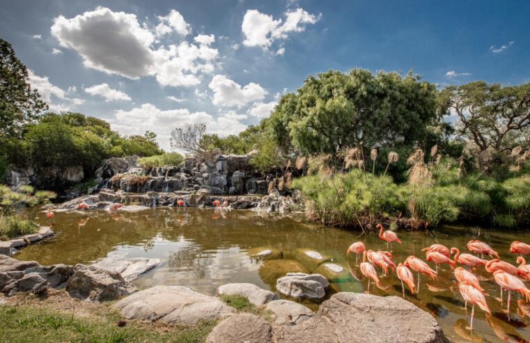 Temaikèn presenta Guardianes de la Naturaleza