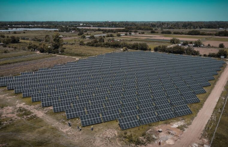 Loma Verde: ya se colocó el 100% de los paneles solares del primer parque solar municipal de la Argentina