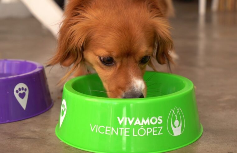 Cada vez son más los comercios Pet Friendly en Vicente López