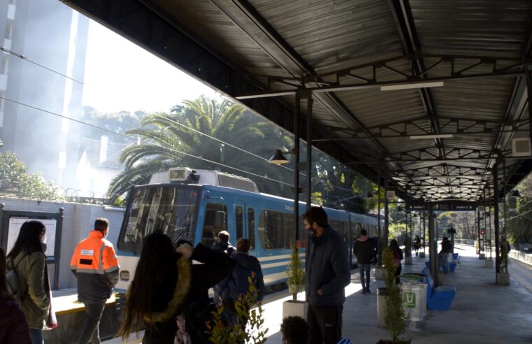 Récord de pasajeros en el Tren de la Costa