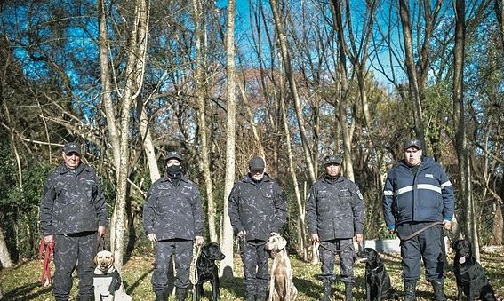 La Municipalidad sumó seis perros para fortalecer a la División Canina de Escobar