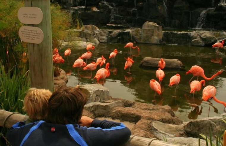 Temaikén lanza una nueva experiencia para la primavera