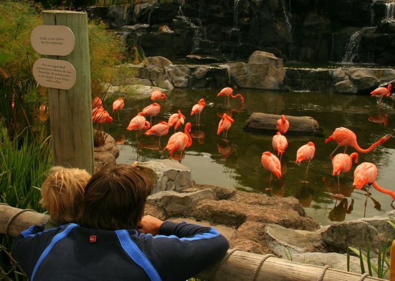 Temaikén lanza una nueva experiencia para la primavera