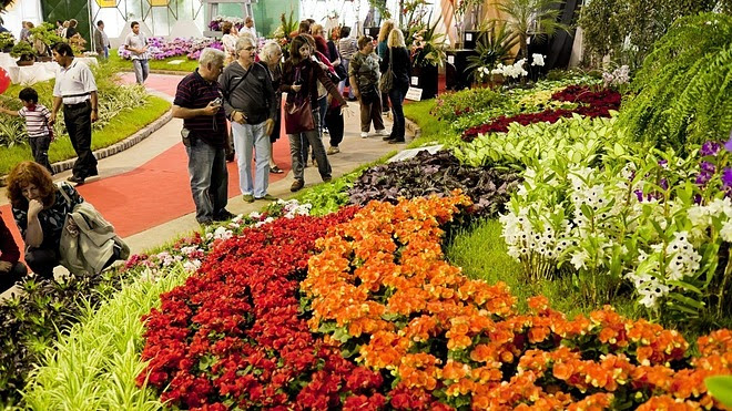 La vuelta del Desfile de Carrozas marcó el 63° aniversario del partido de Escobar