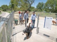 <strong>San Isidro: nuevo canil para mascotas en el Parque Público del Puerto </strong>