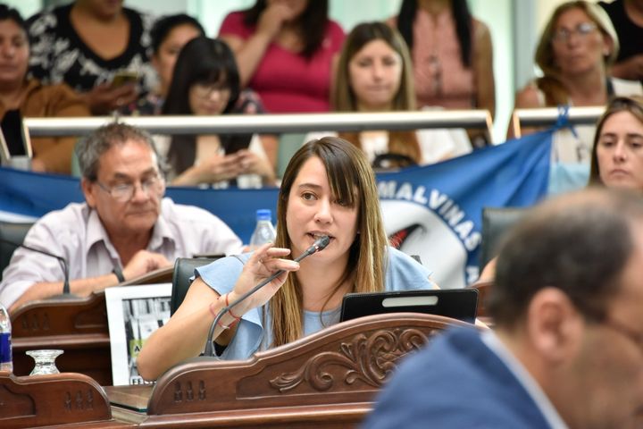 Se aprobó el proyecto que declara a Malvinas Argentinas territorio libre de pirotecnia sonora