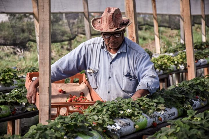 Productores de Escobar recibieron ayuda del Ministerio de Economía por daños causados durante temporal de agosto