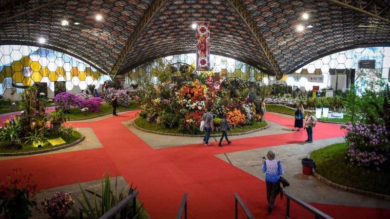 Fiesta de la Flor: por primera vez habrá un espacio de comunicación pública sobre temas ambientales