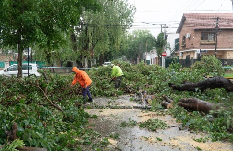 San Isidro: tras el temporal, siguen los operativos en las calles con más de 900 personas 