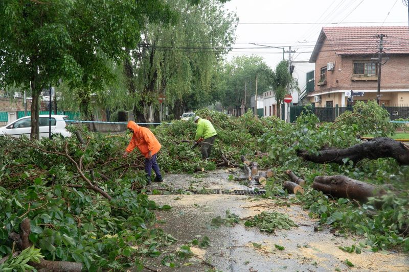 San Isidro: tras el temporal, siguen los operativos en las calles con más de 900 personas