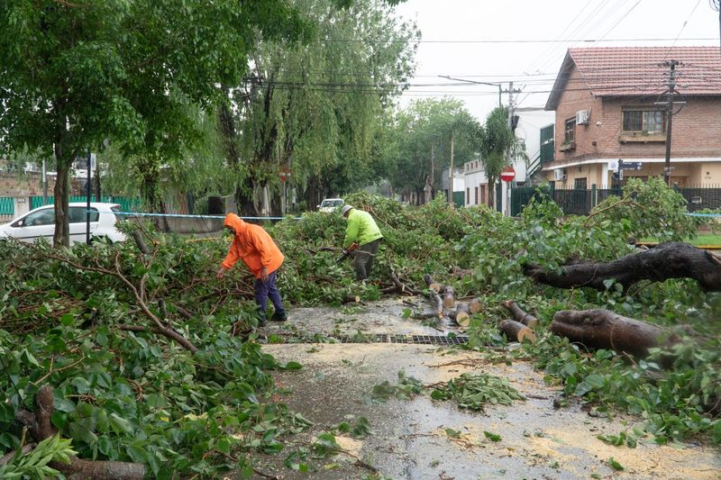 San Isidro: tras el temporal, siguen los operativos en las calles con más de 900 personas 