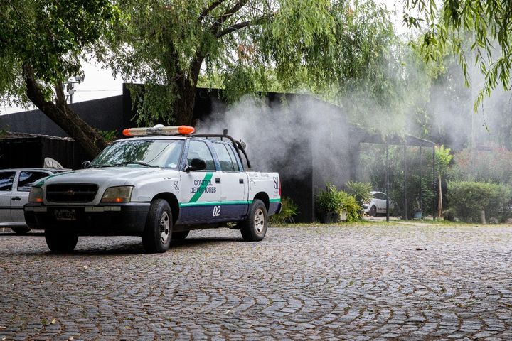 San Isidro: el municipio reforzó los operativos de fumigación en espacios públicos