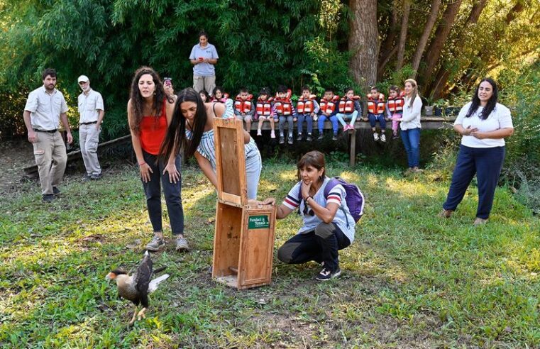 Tigre reinsertó especies de fauna nativa en la Reserva Municipal Carapachay del Delta