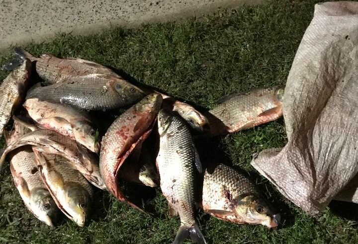 Escobar incautó 80 kilogramos de pescado producto de la pesca ilegal