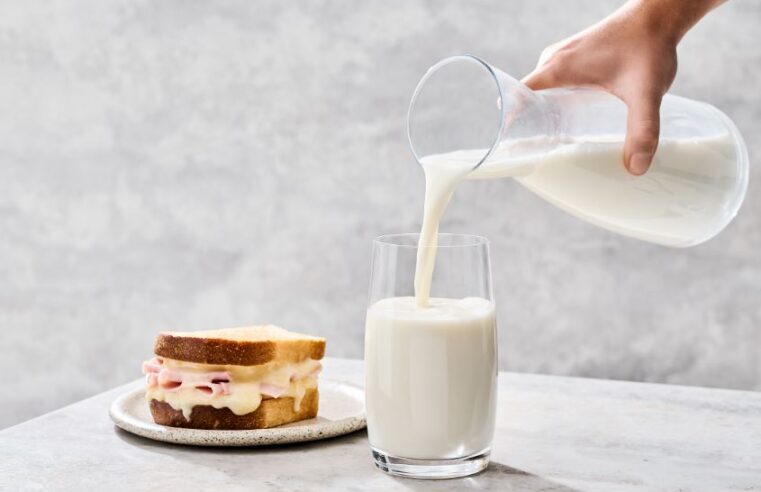 Día Mundial de la Leche: 7 de cada 10 argentinos reconocen la importancia de su consumo en todas las etapas de la vida