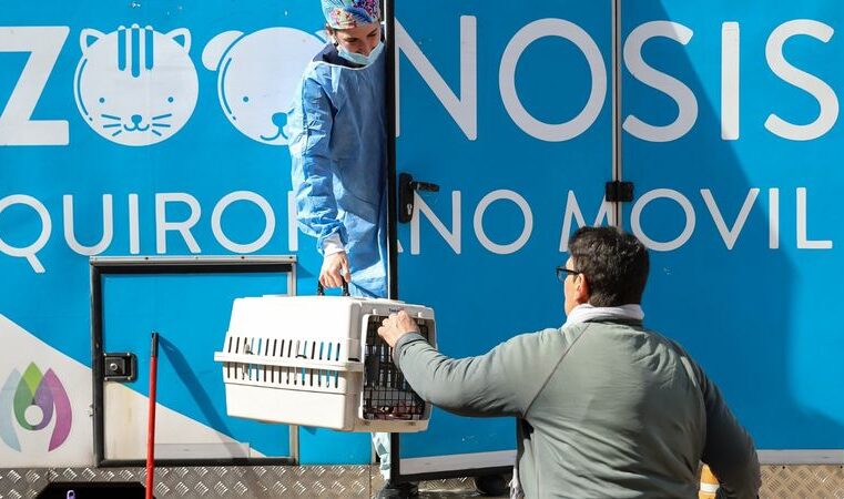 Se realizaron más de 37 mil acciones para mejorar la vida de los animales de compañía en Vicente López