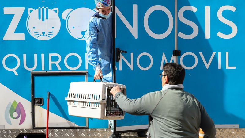 Se realizaron más de 37 mil acciones para mejorar la vida de los animales de compañía en Vicente López