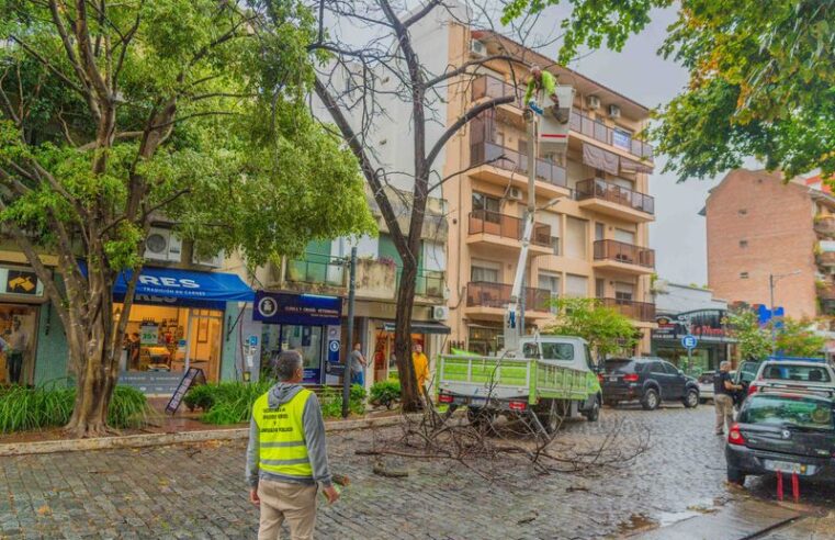 San Fernando reacondiciona la ciudad tras el temporal de vientos de 100 km/h
