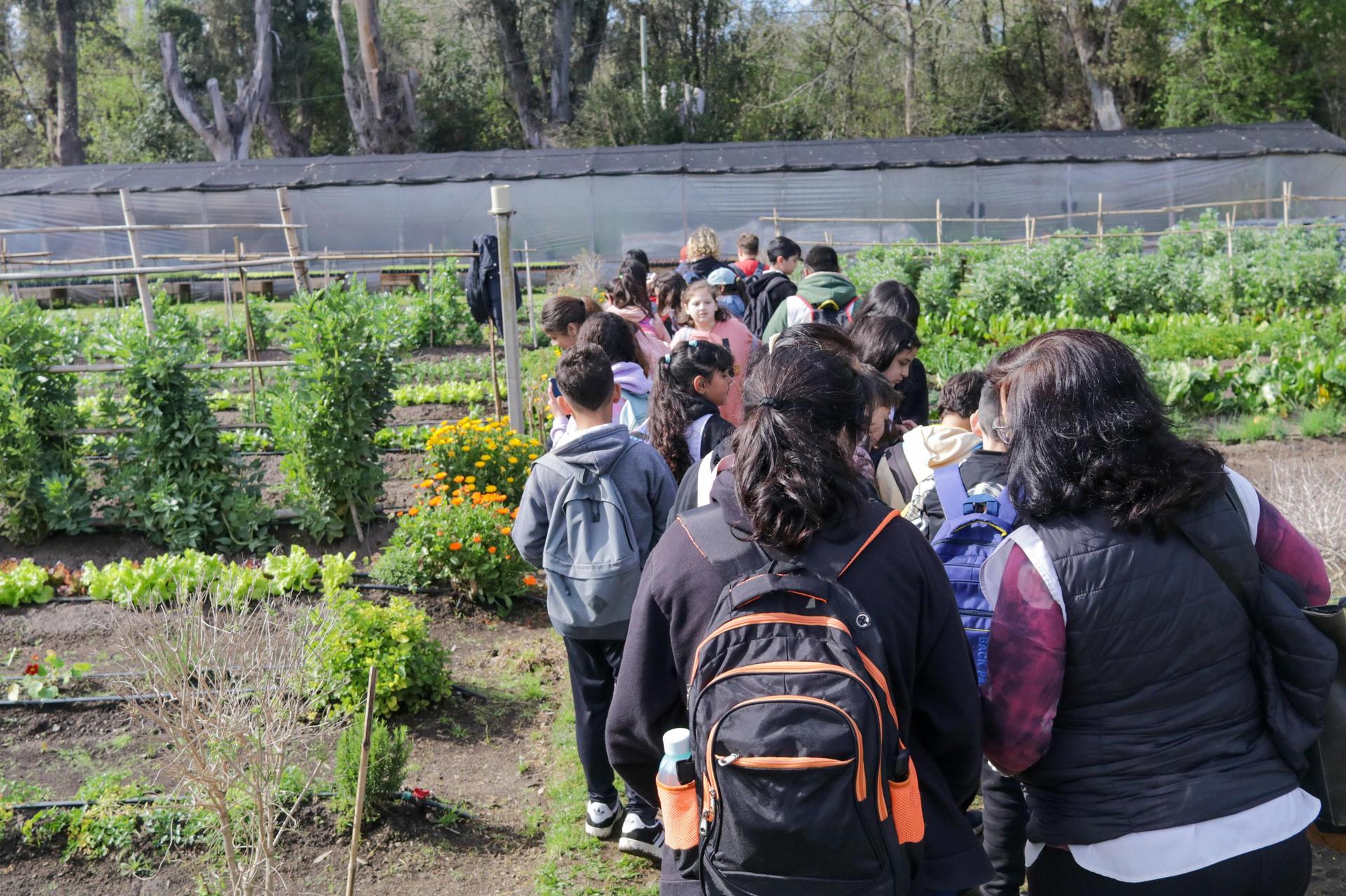 Escobar Sostenible lanza un voluntariado para fomentar la participación ciudadana en el cuidado del ambiente