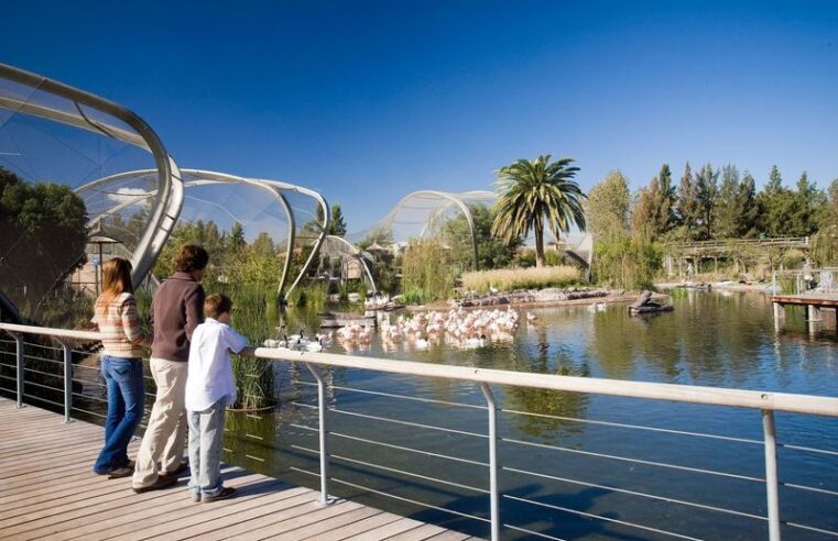 Temaikén ofrece una nueva propuesta de visita exclusiva a El Lugar de las Aves