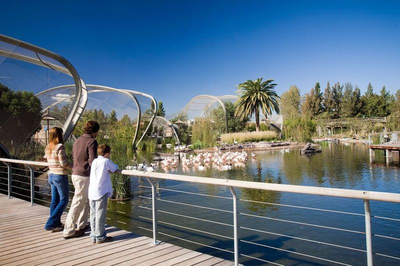 Temaikén ofrece una nueva propuesta de visita exclusiva a El Lugar de las Aves