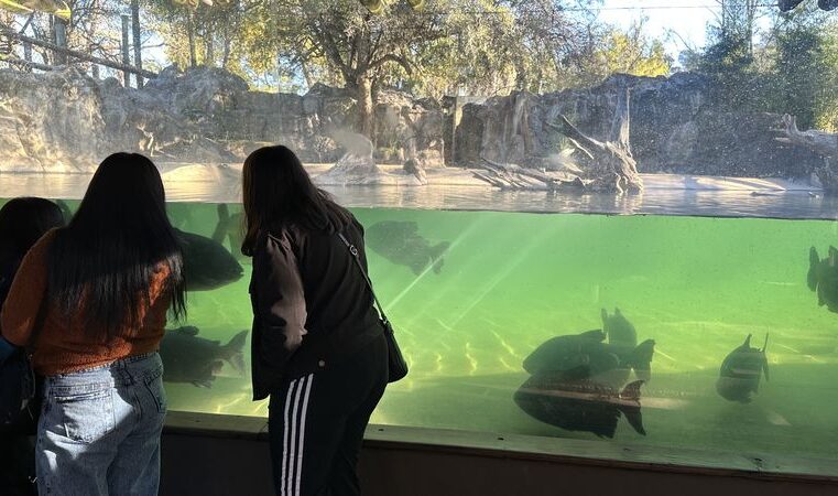 Estas vacaciones de invierno, el Bioparque Temaikèn presenta “Territorio Aguará: lagunas y pastizales”