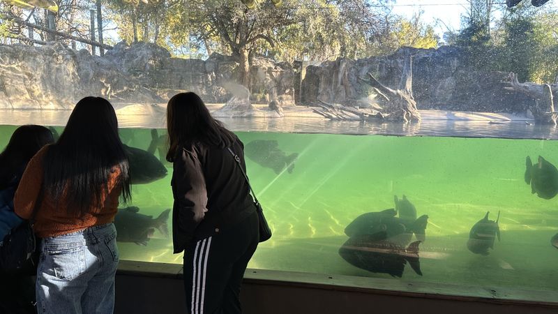 Estas vacaciones de invierno, el Bioparque Temaikèn presenta “Territorio Aguará: lagunas y pastizales”