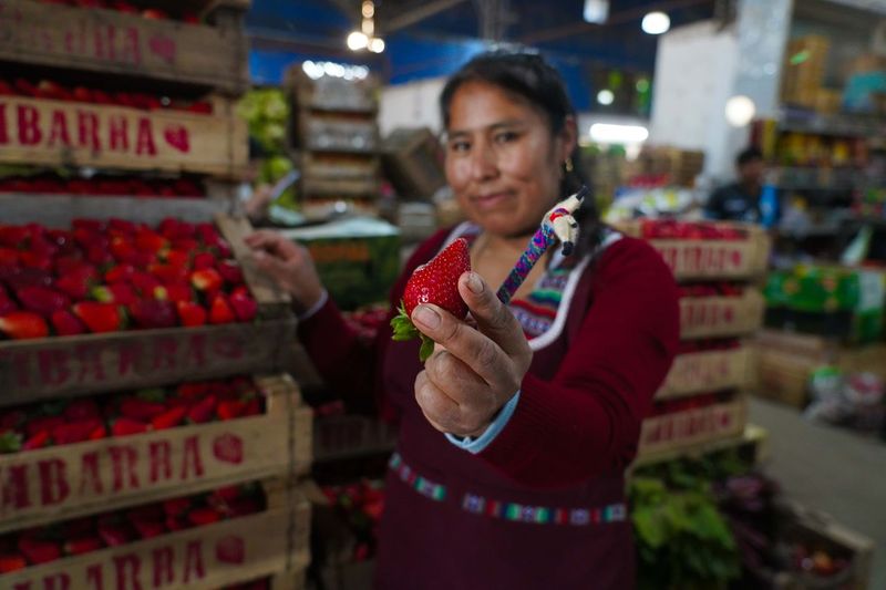 Llega a Escobar la Fiesta de la Frutilla