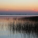 Año Nuevo: crecen las escapadas cortas para pasar las fiestas en destinos cercanos Chascomus