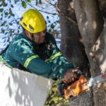 c9ea2548-7979-4fe2-ac20-74571f21423a