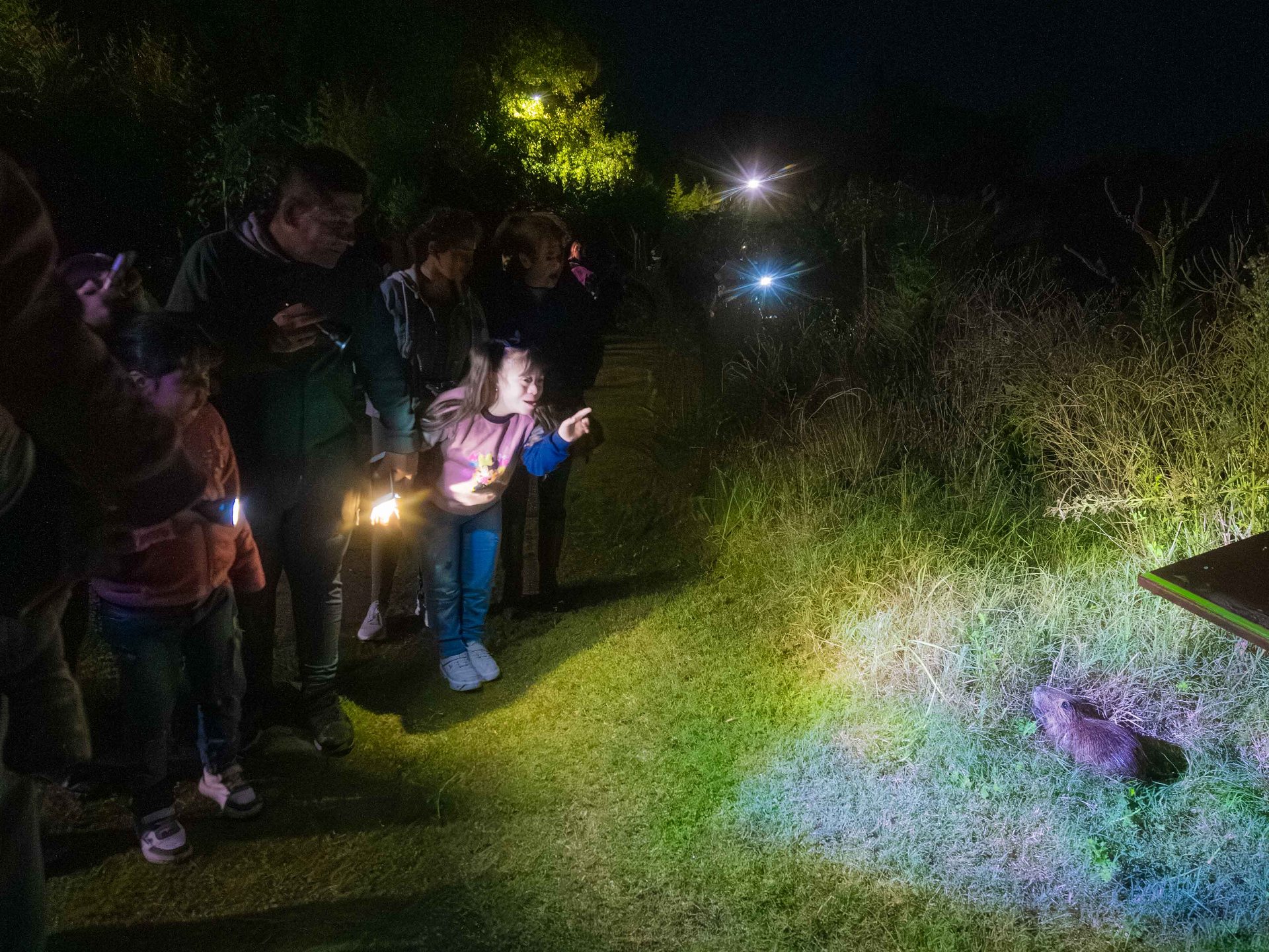 San Fernando realizó una nueva visita guiada nocturna al EcoParque