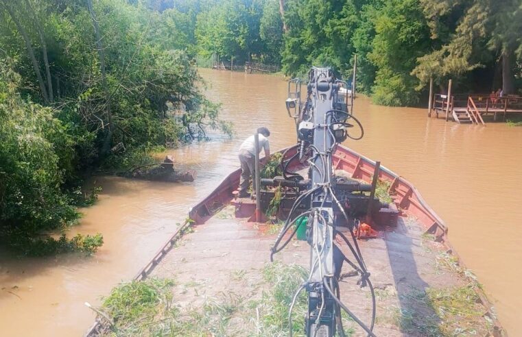 Continúan las obras de infraestructura en el Delta de Tigre