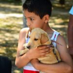 Escobar impulsa nuevos proyectos para fortalecer la protección y el bienestar animal whatsapp_image_2026_09_30_at_19_33_49