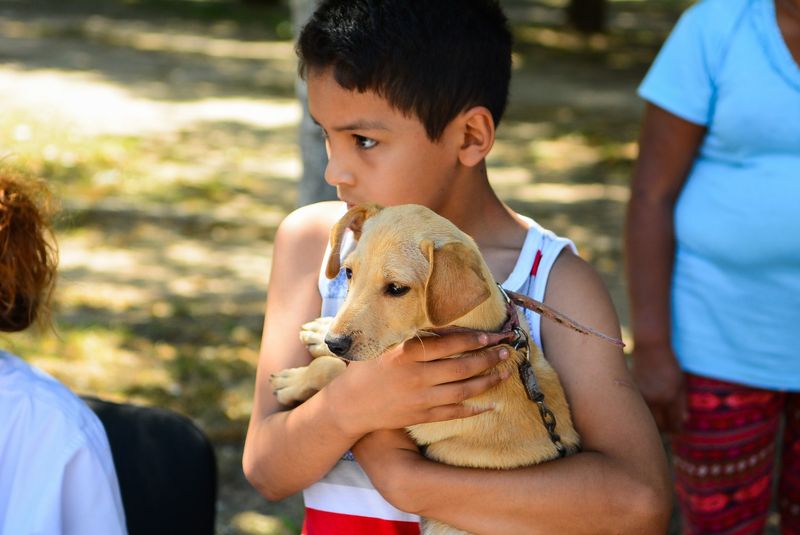 Escobar impulsa nuevos proyectos para fortalecer la protección y el bienestar animal